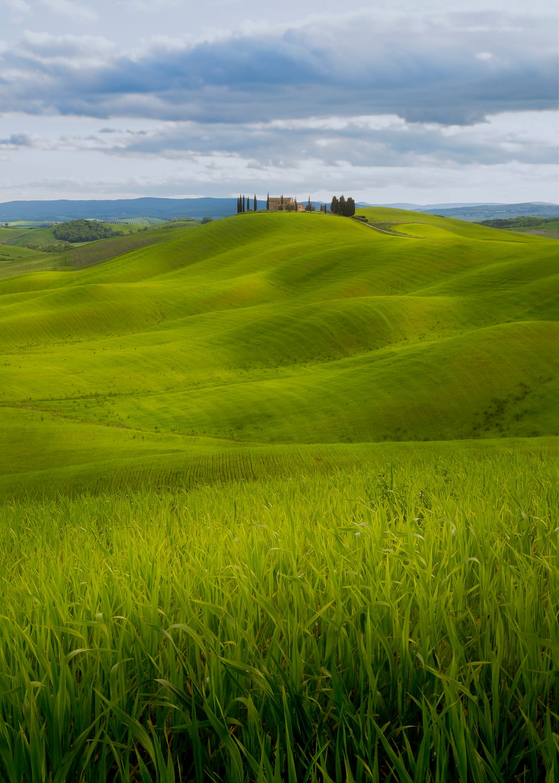 Tuscan Dreams