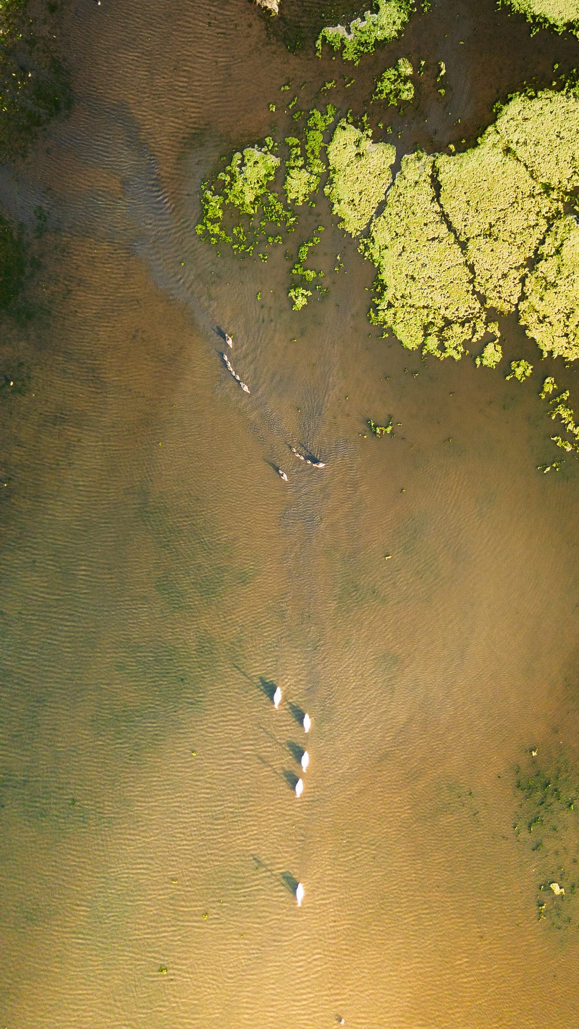The lake