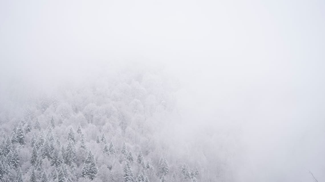 Winter's Whisper