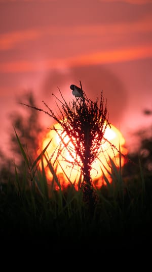 "When Sky Burns" - Behind the Shot