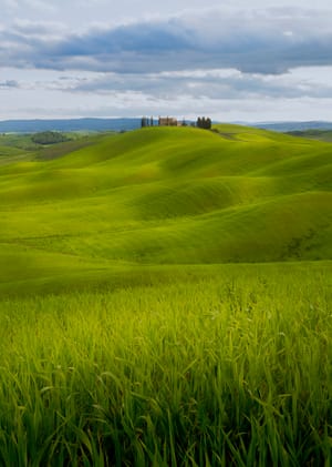 Tuscan Dreams