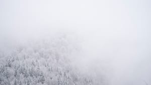 Winter's Whisper
